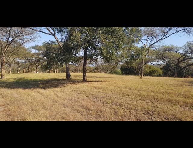 LAND FOR SALE IN TZANEEN RURAL